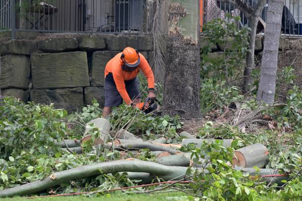 Emergency Storm Tree Removal in Geneva, AL